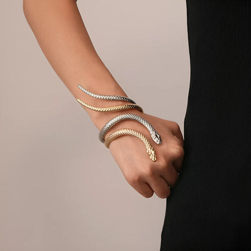 Gold and silver exaggerated twisted winding snake design bracelet and ring two-piece jewellery set