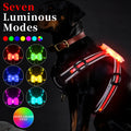 Seven-colour luminous dog lead with charging cable in nylon construction showing size options