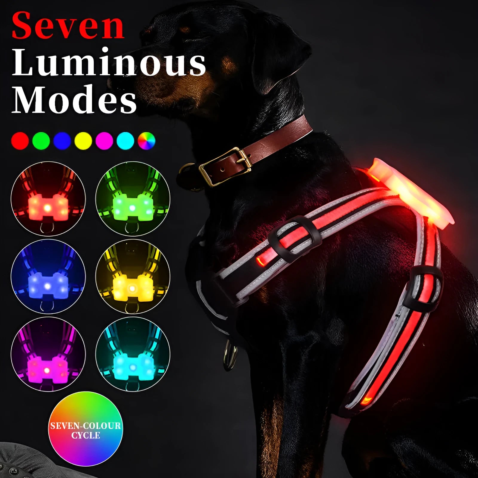 Seven-colour luminous dog lead with charging cable in nylon construction showing size options