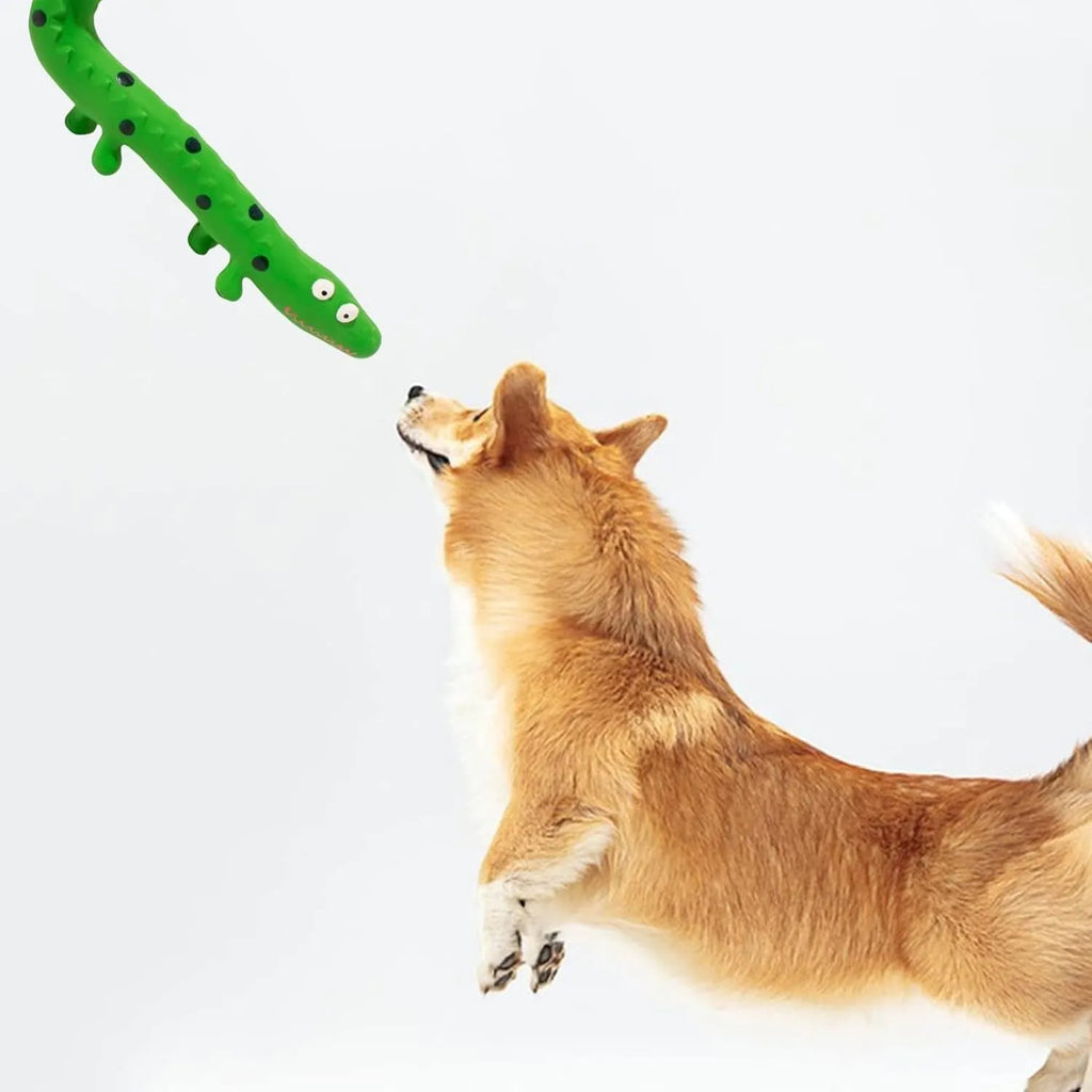 Green lizard-shaped dog chew toy with squeaker for aggressive chewing and teeth cleaning