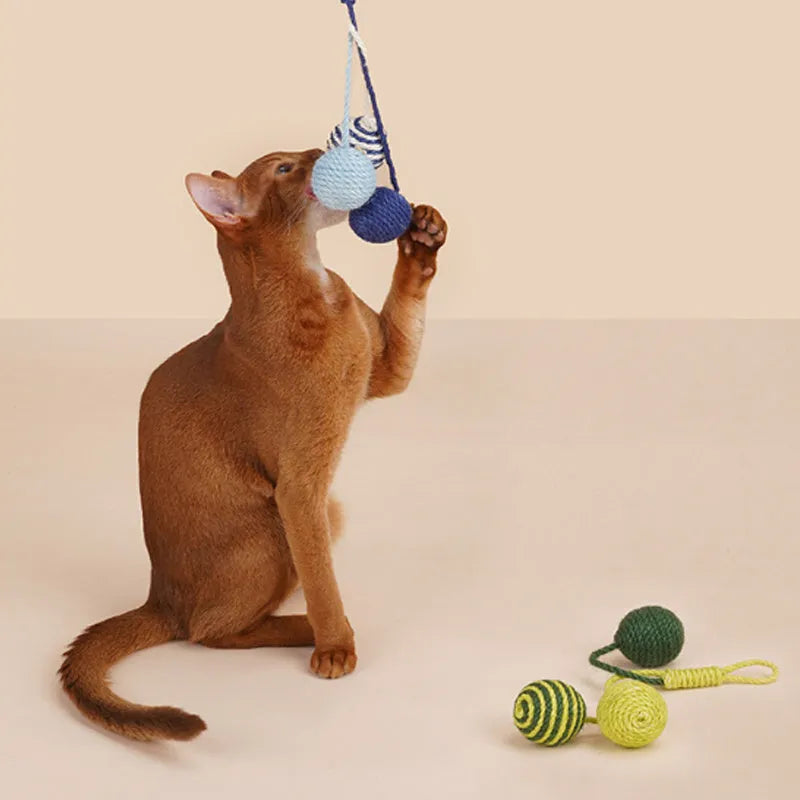 Cat toy set with teaser stick and coloured catnip balls on white background