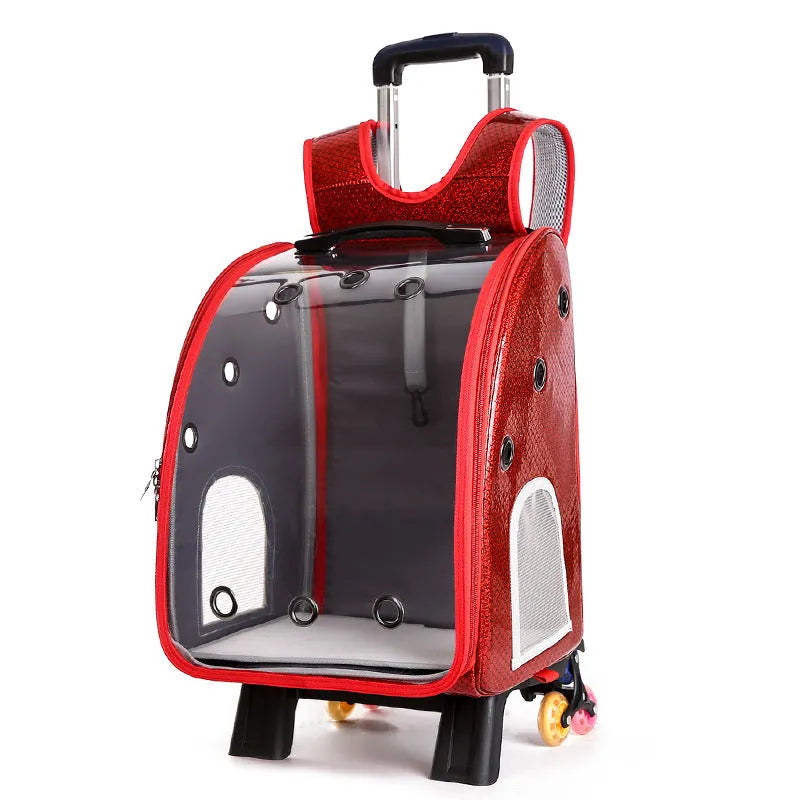 Transparent pet trolley bag with folding design and shoulder strap for small dogs