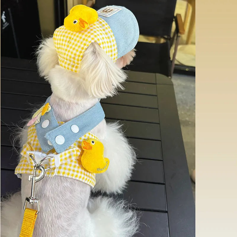Three-piece pet set showing a dog harness, a leash with a wire rope section, and cute cat clothes on a hanger.