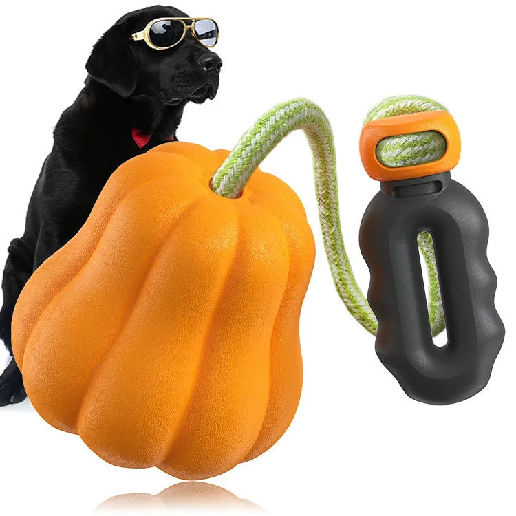 Orange plastic pumpkin-shaped dog toy with rope attached for throwing