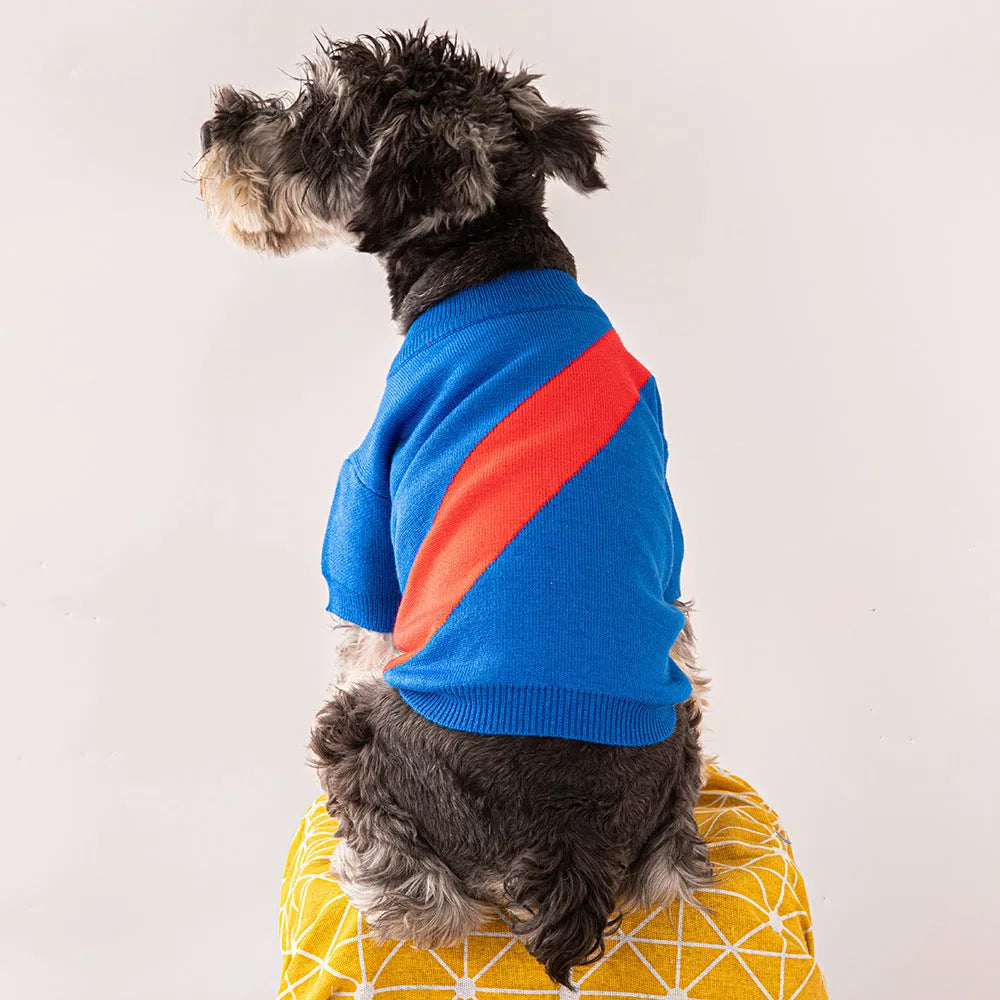 A colourful wool knit dog jumper for small breeds like a Corgi, shown in light green and other colour options.