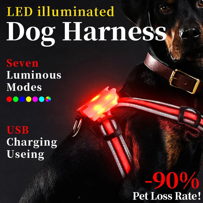 Seven-colour luminous dog lead with charging cable in nylon construction showing size options