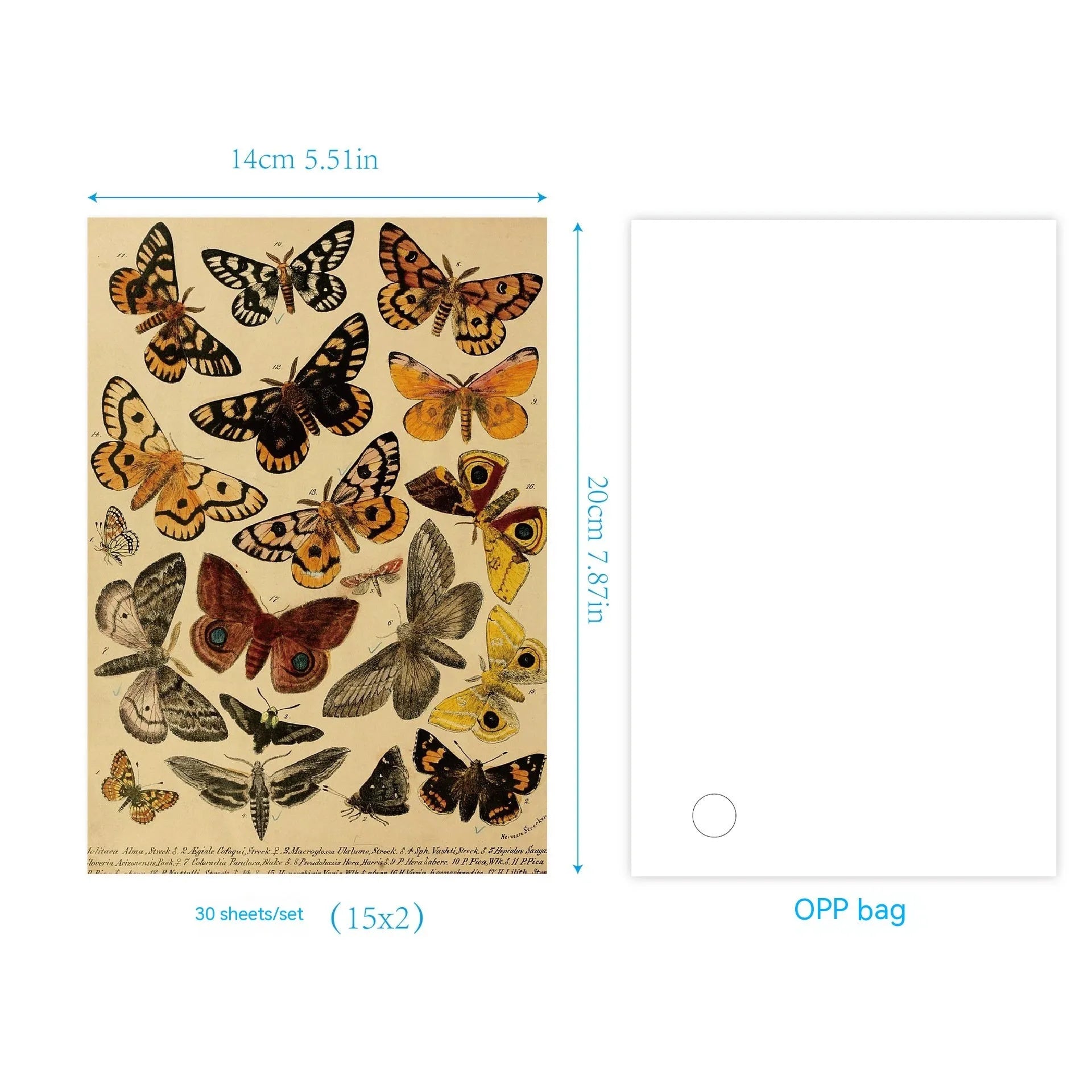 30-piece vintage scrapbook paper set with botanical floral and musical printed designs
