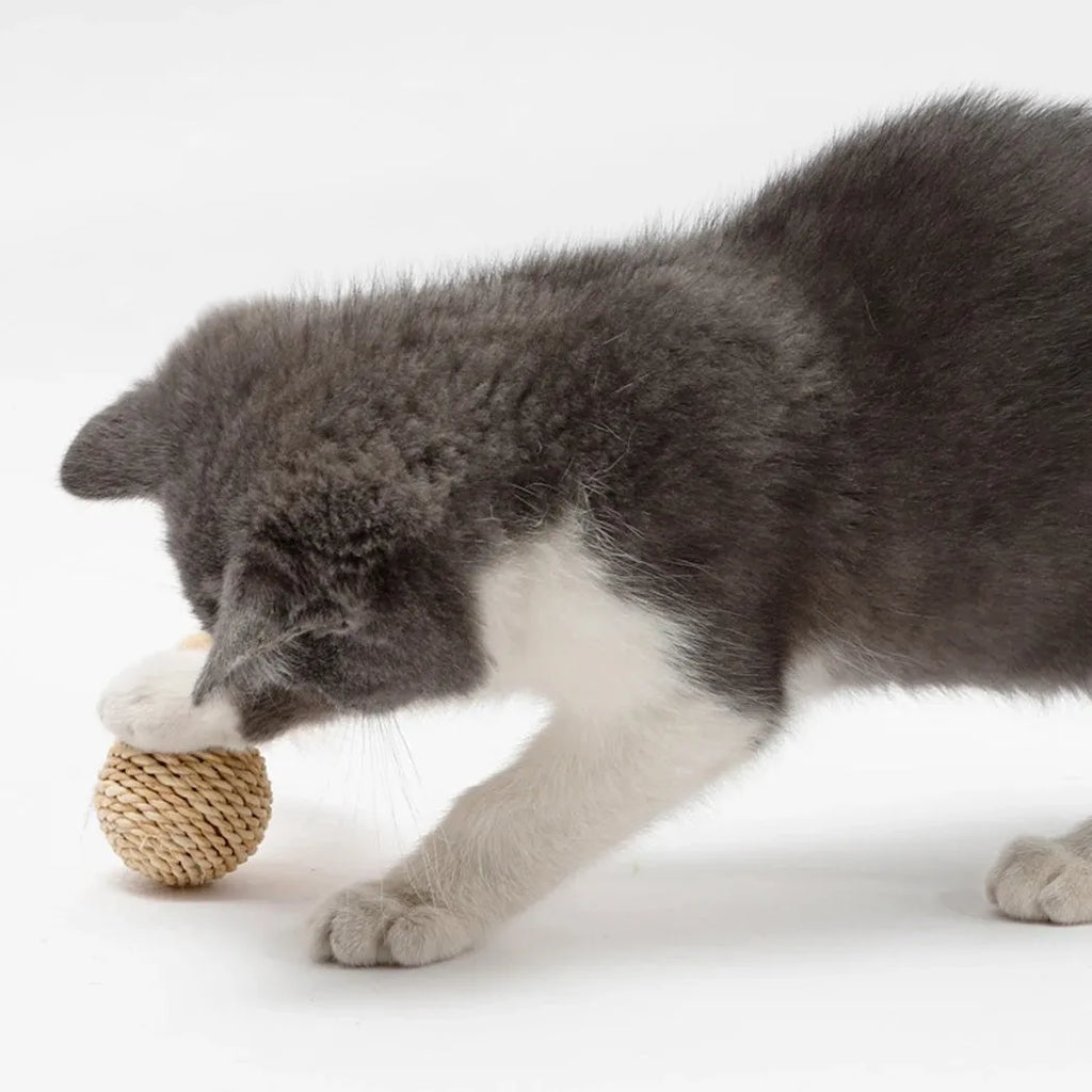 Two cat toys: a natural rattan ball and a colourful faux feather ball with a bell on a white background.