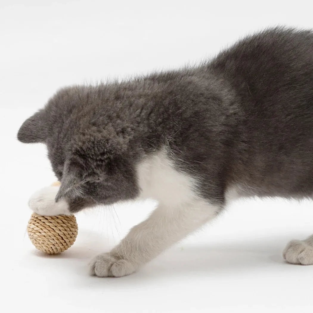 Two cat toys: a natural rattan ball and a colourful faux feather ball with a bell on a white background.