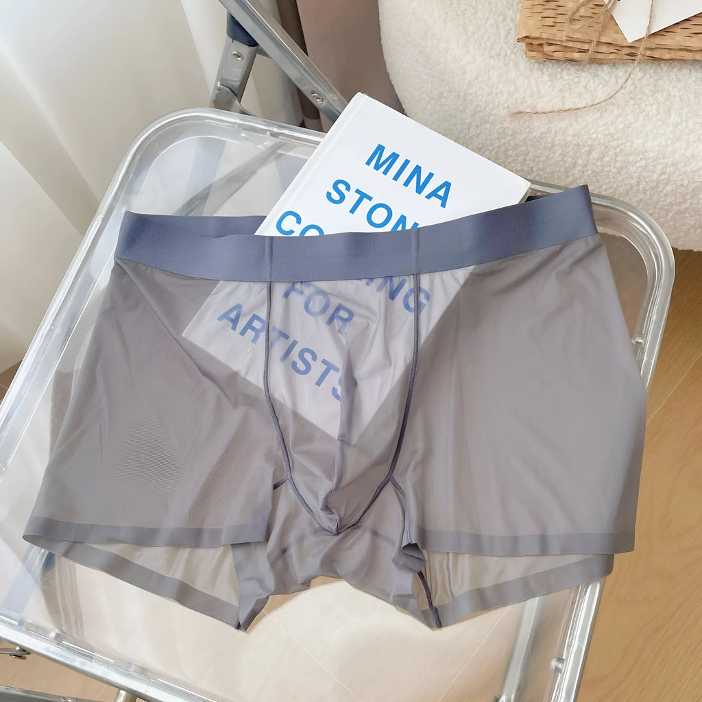 Men's thin nylon boxer shorts in rock ash colour, showing seamless construction and mid waist