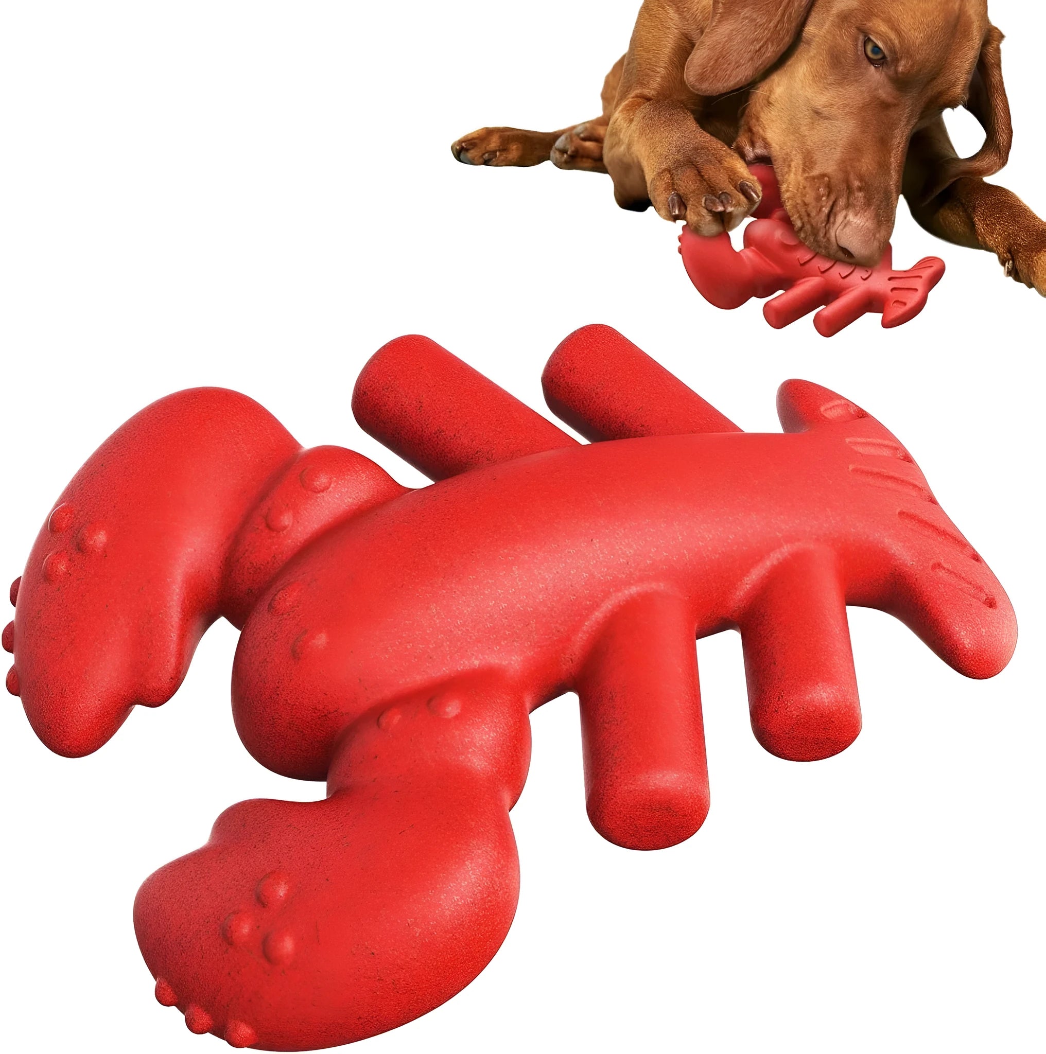 Red durable chew toy for large dogs, shown with dimensions for scale.
