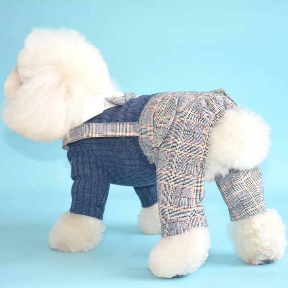 Orange and dark blue cotton dog shirt suit for small dogs, available in sizes S to 2XL.