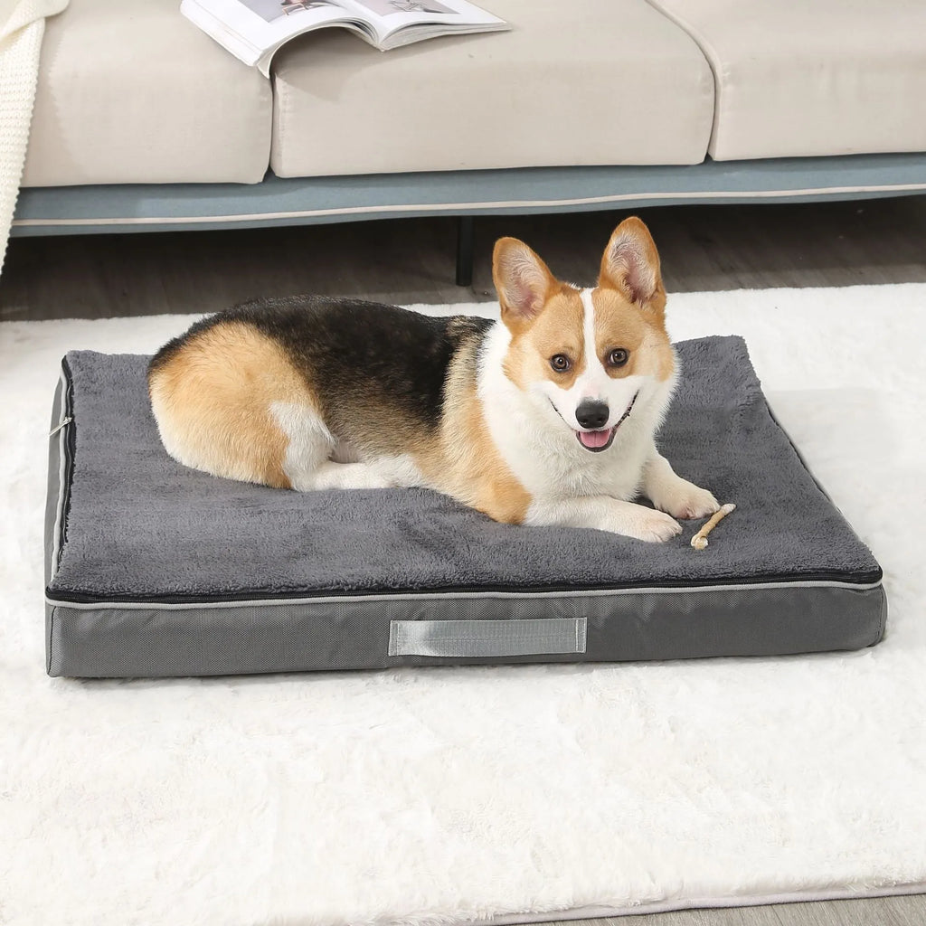 Removable washable memory sponge dog mat in brown, shown with a detached cover for cleaning.