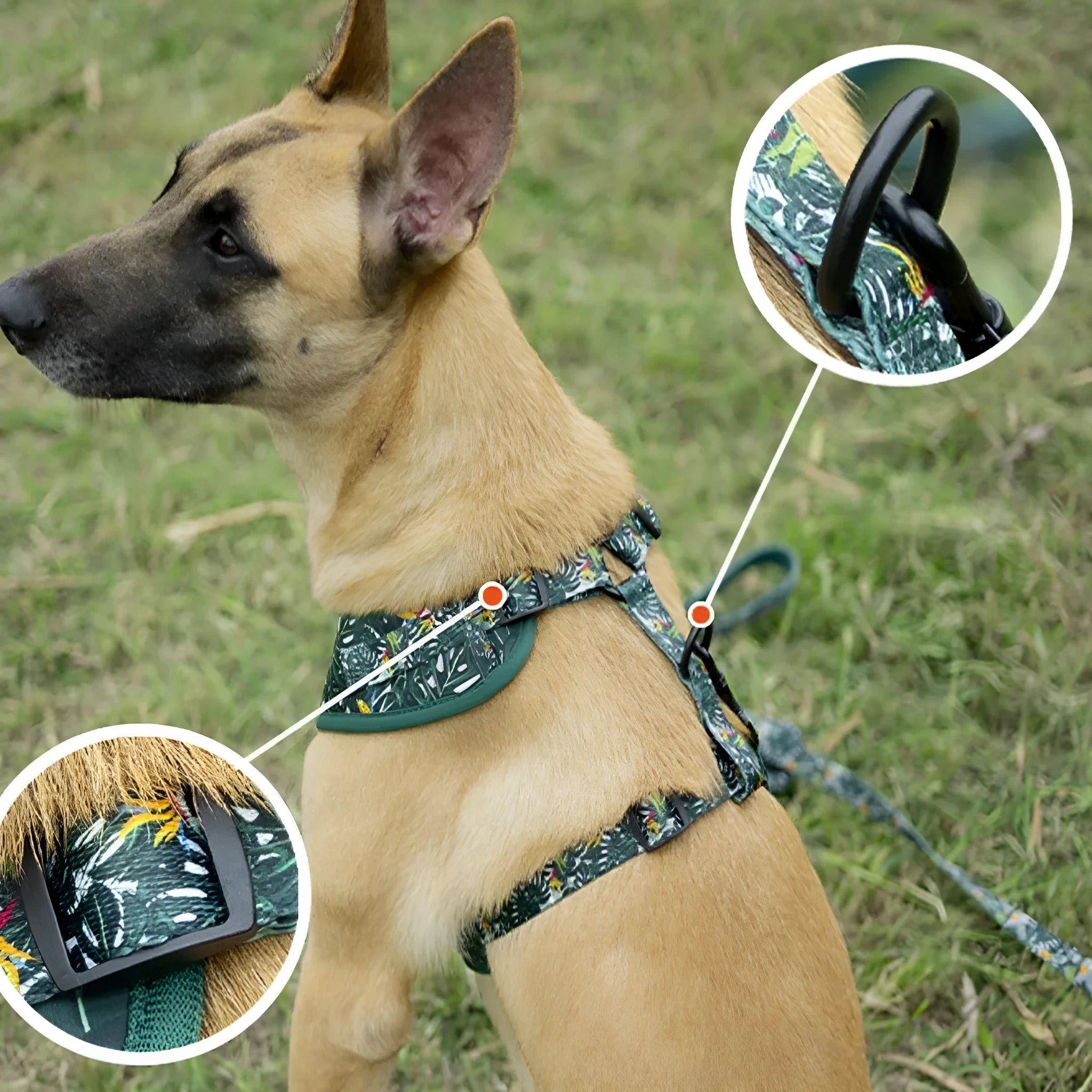 Adjustable pet harness set with six accessories including waste bag in cloth material