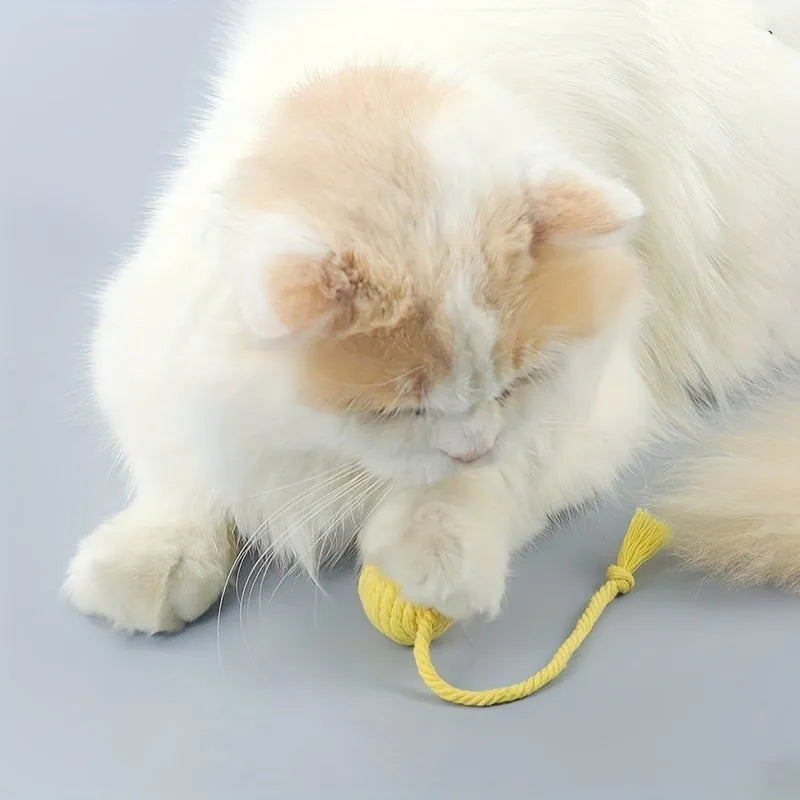 Colourful cat toy ball with rope and built-in bell available in green pink purple yellow for kittens