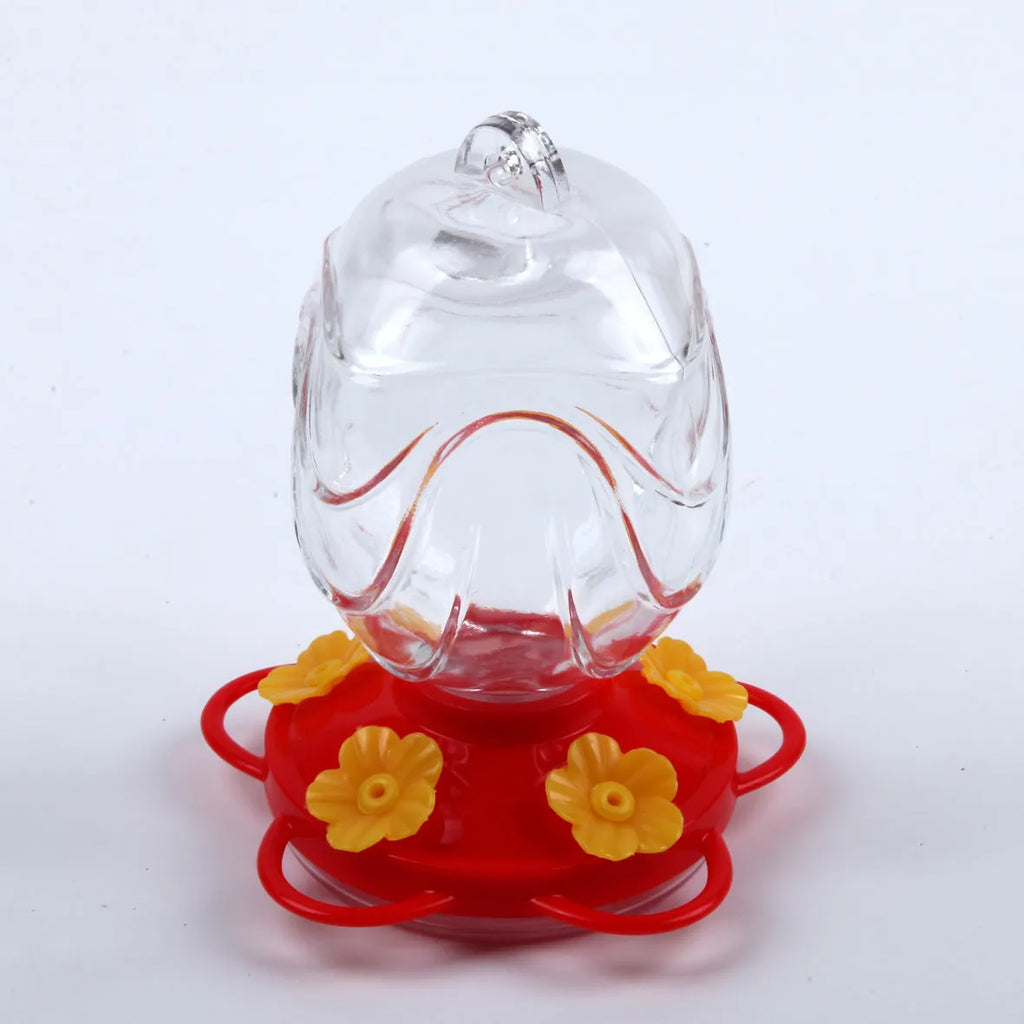 Painted glass feeder for aquarium decoration in transparent colour