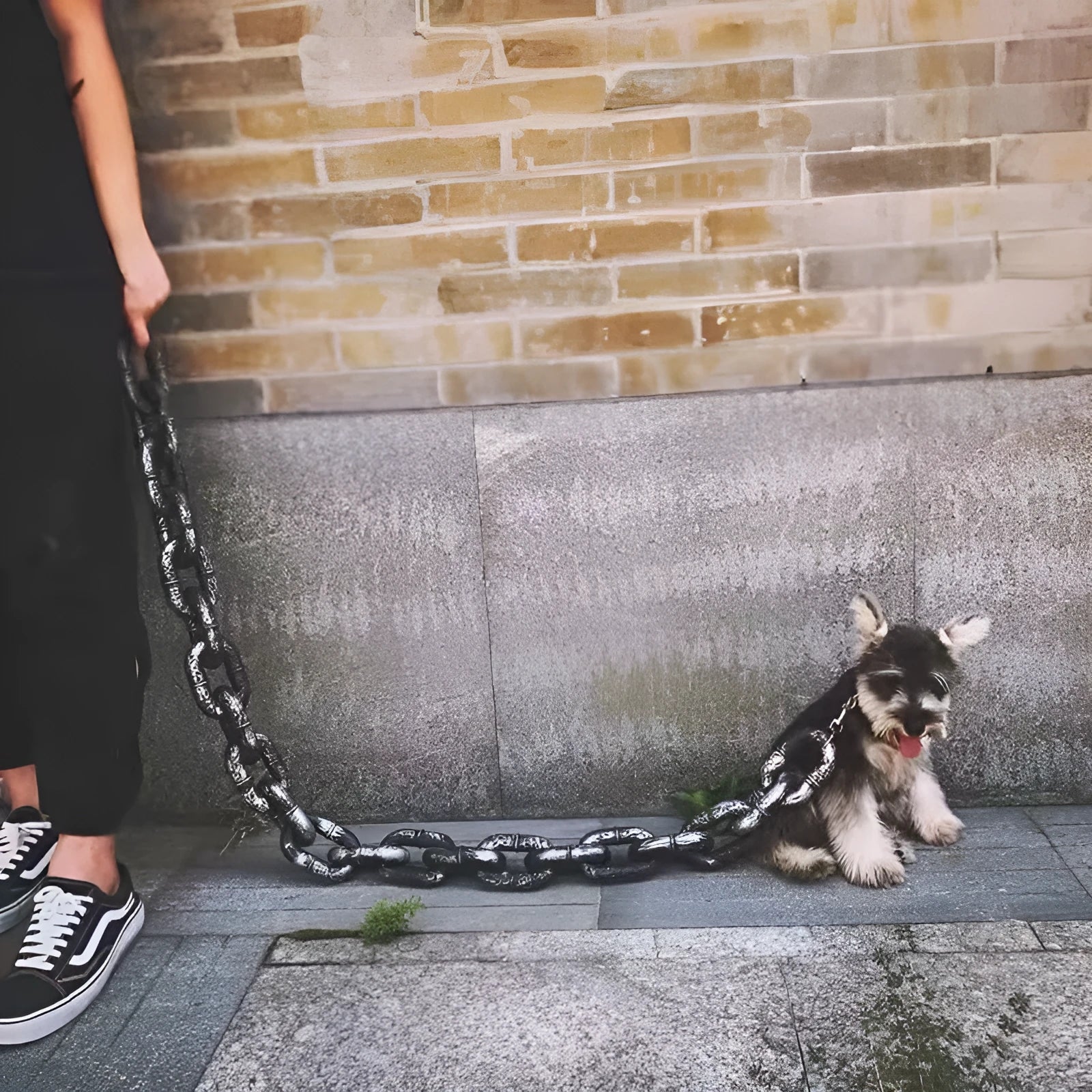 Simulation dog leash rope prop in antique silver, bronze, or black colour for video filming.