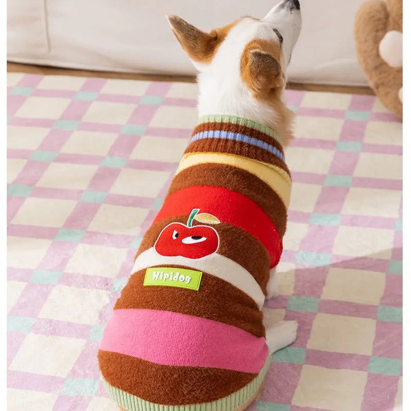 Rainbow apple striped knitted dog pullover sweater for Corgis with apple embroidery, brown and white, autumn winter warm wear.