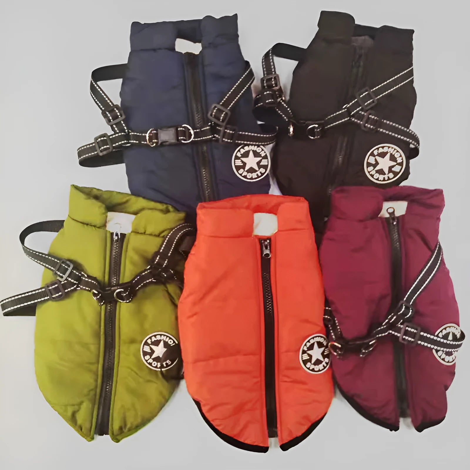 Pet cotton padded coat in blue for dogs, autumn and winter casual style, size shown S to 4XL