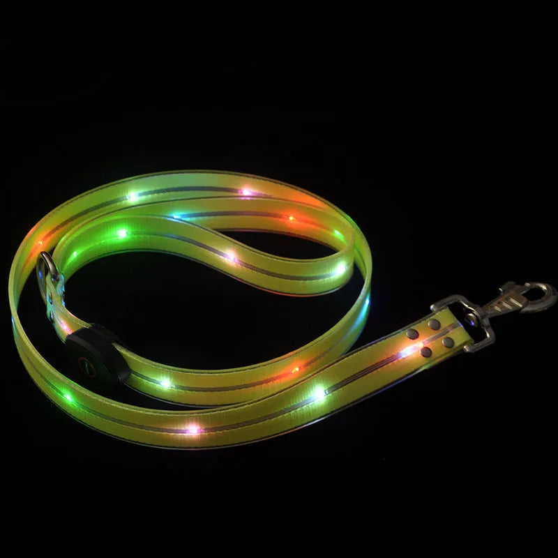 Luminous dog collar and colourful PVC pet leash in fluorescent green, showing hand-held rope section.