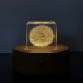 5cm clear resin cube containing one dandelion on wooden box with USB LED base