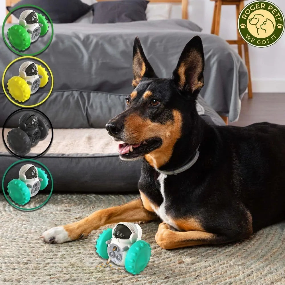 Self-balancing roller dog treat puzzle toy for small dogs and cats in assorted colours.