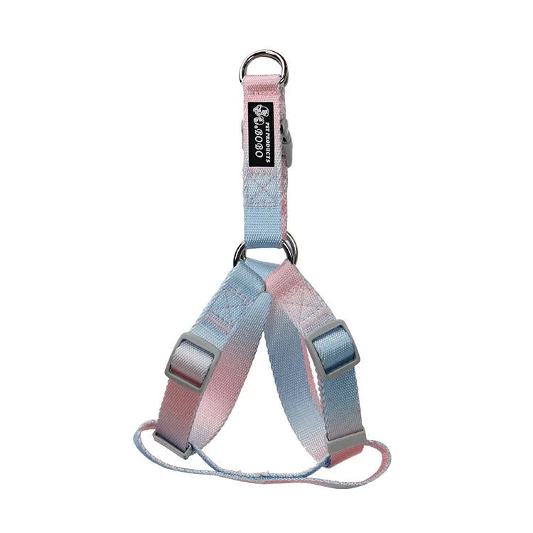 Gradient colour nylon pet leash set with dog collar and lead in pink blue yellow purple green combinations