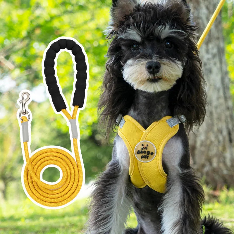Polyester dog vest and matching hand holding rope leash set in blue, green, pink, or yellow.