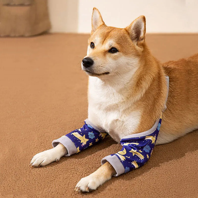 Adjustable dog knee protector pad with elbow padding and matching scarf in blue colour