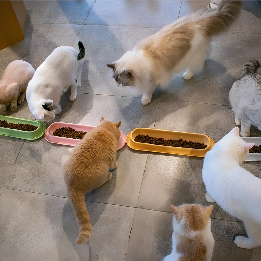 Green pink yellow pet food water feeder with stainless steel bowls and leakproof silicone mat