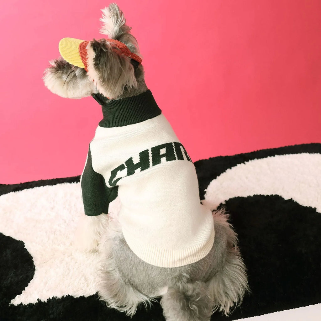 Red wool sports sweater cardigan for a dog on a grey background, size label shown.