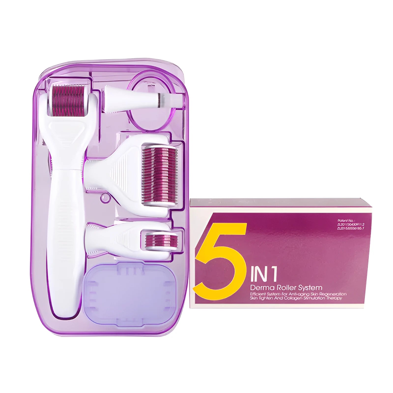 DermaKit 6-in-1 derma roller set with stainless steel needles, PC handle, face brush, and disinfection groove on white background