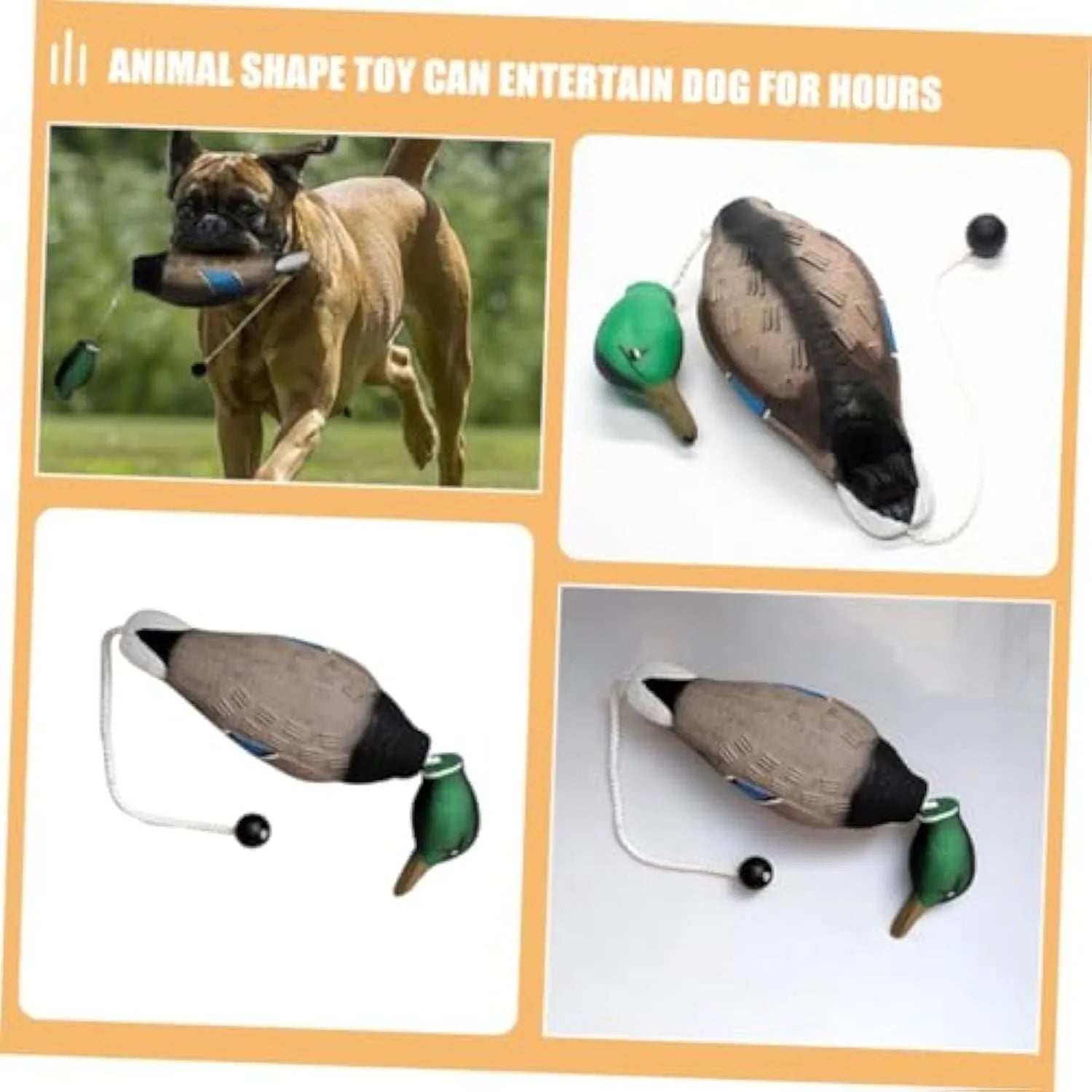 Green EVA duck dog toy with no stuffing and quacking sound, 35cm long, on white background