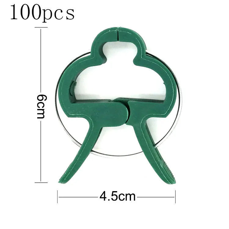 Green plastic and zinc plant fixing clips for supporting climbing beans and tomatoes.