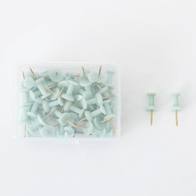 50 Morandi colour push pins with button and star shaped heads for bulletin boards