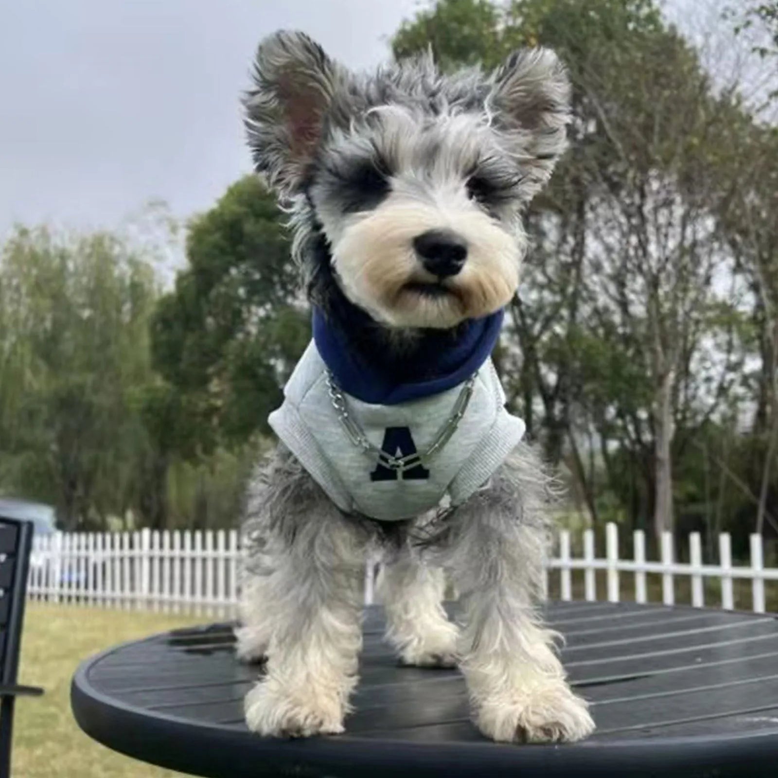 Blue and grey white pet hoodie with reflective letters for cats and dogs in slim-fitting design