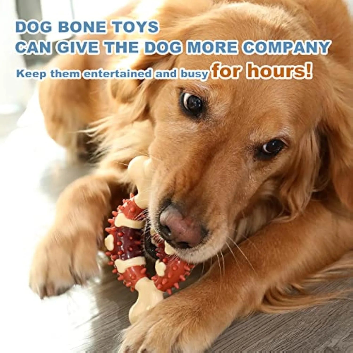 Natural rubber bone-shaped dog chew toy for dental care and anxiety relief in two size options