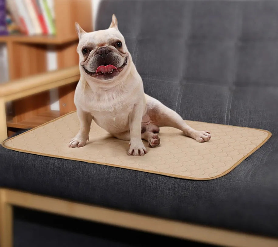 Reusable dog urine pad with non-slip TPU bottom, gray, in L size 100x67x4.5cm