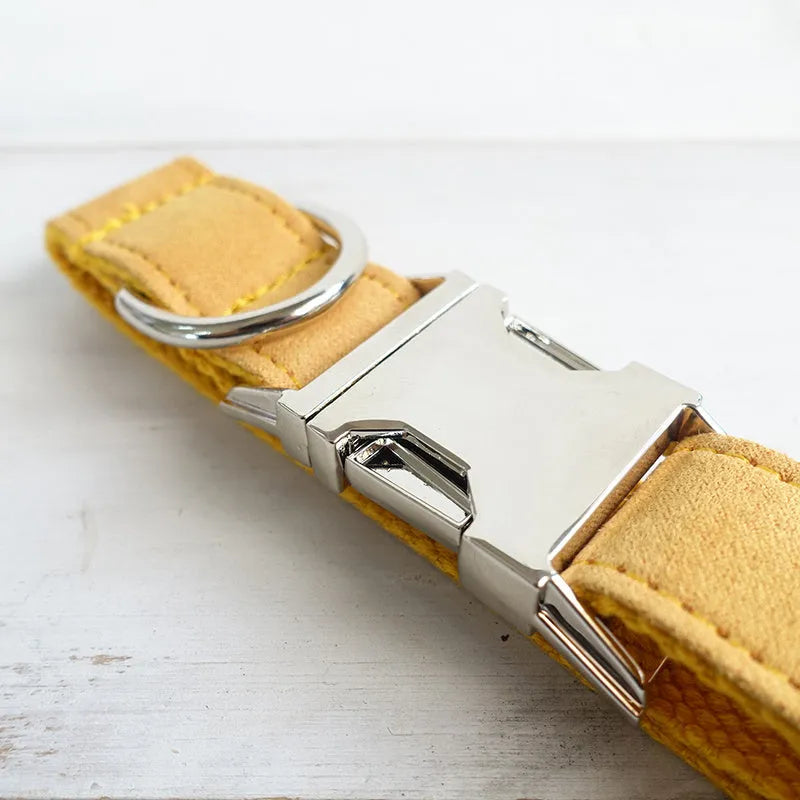 Yellow velvet polyester adjustable dog collar on a light background showing buckle and sizing details.