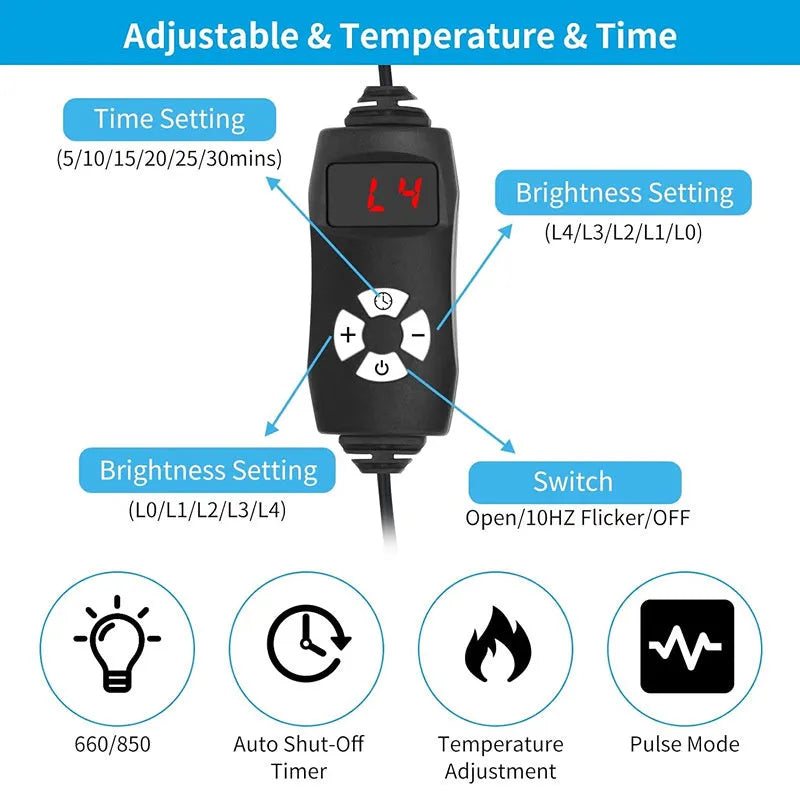 Black infrared physical therapy belt with red light technology for waist pain relief
