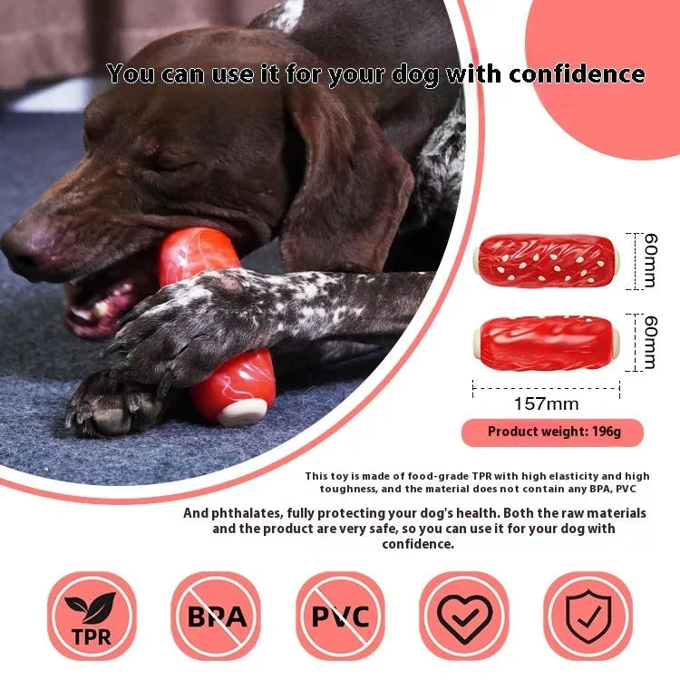 Primary coloured plastic dog toothbrush chew toy with textured molar rods containing glue-flavoured snacks