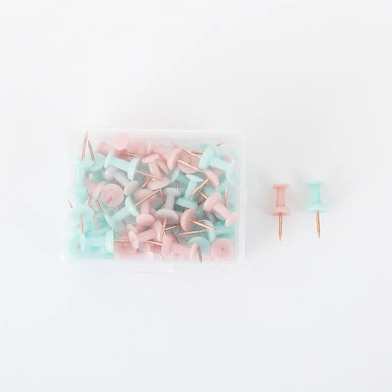 50 Morandi colour push pins with button and star shaped heads for bulletin boards