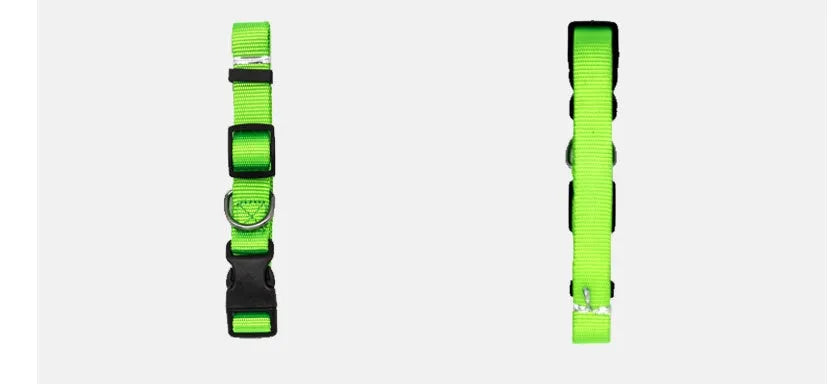 Soft nylon pet collar with neoprene lining, adjustable buckle, and metal D ring on a solid background