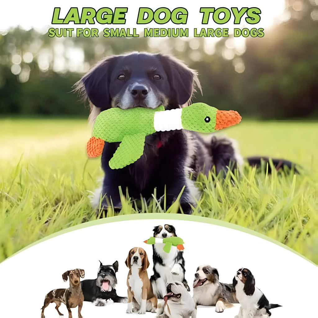 Blue duck plush dog squeaky toy with dual squeakers measuring 33cm for teething puppies