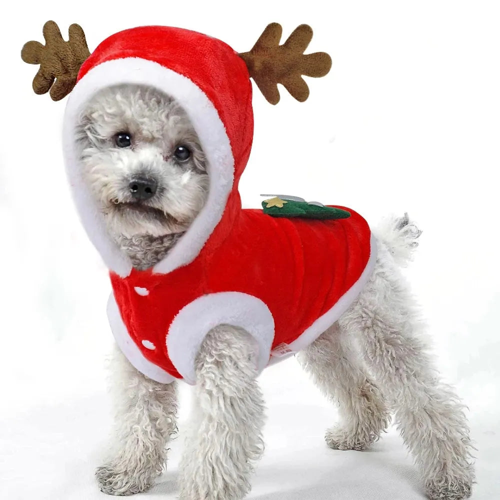 Red flannel Santa dog costume for small dogs with festive Christmas theme