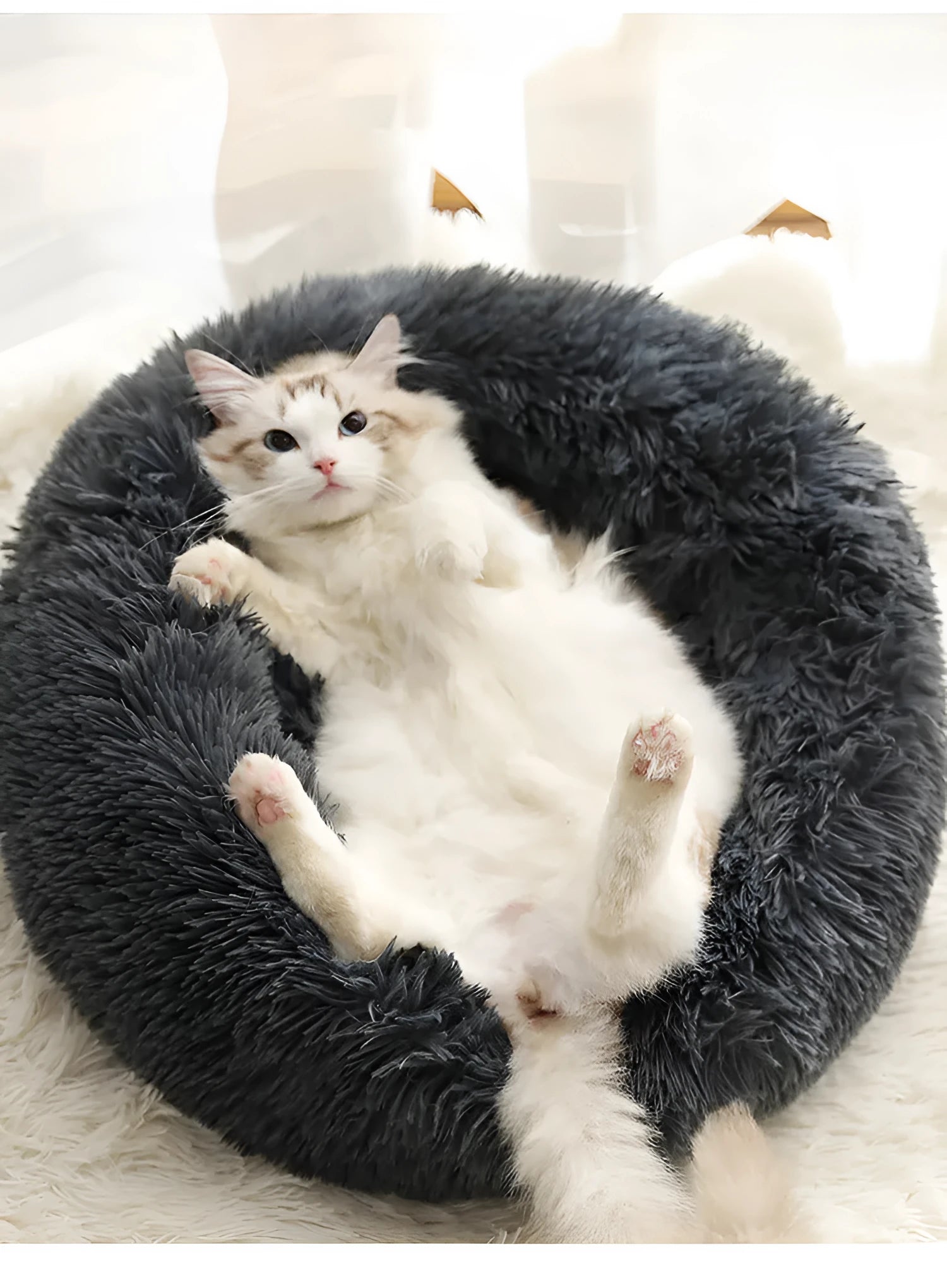 Round PV plush pet bed with raised rim in khaki colour for dogs and cats