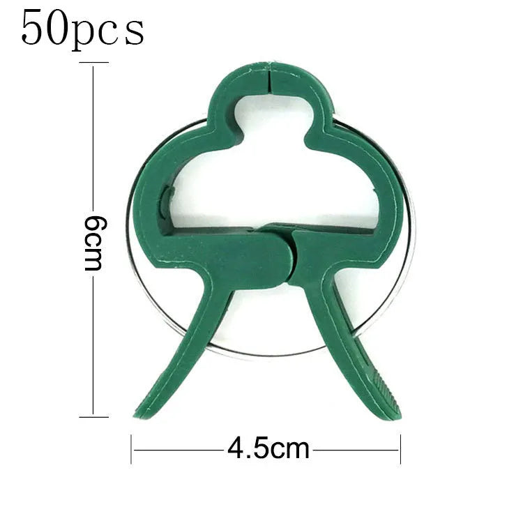 Green plastic and zinc plant fixing clips for supporting climbing beans and tomatoes.