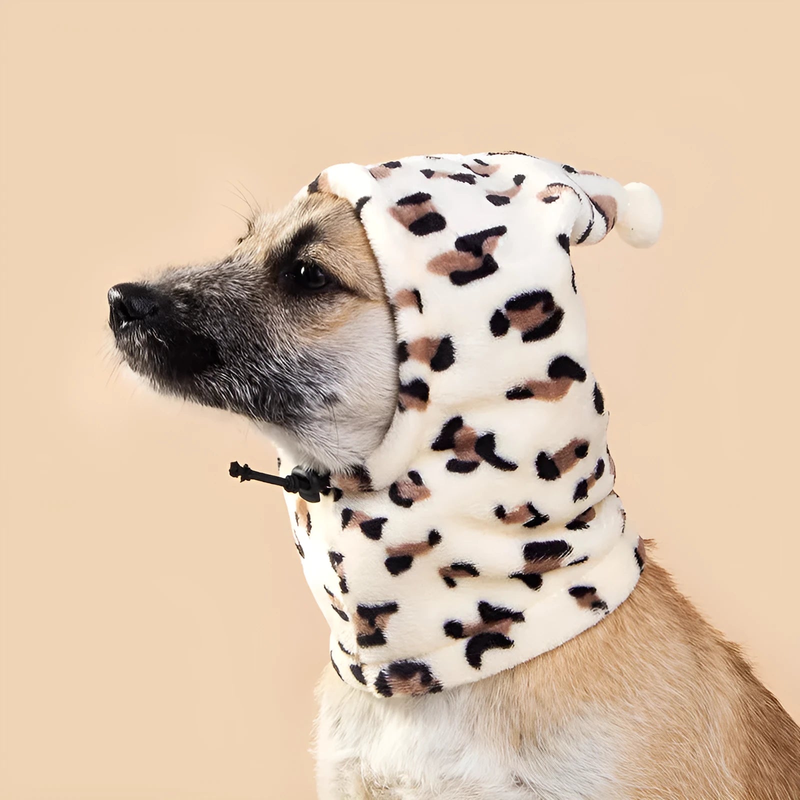 Cloth bear headdress pet hat with rabbit ears in leopard print colour