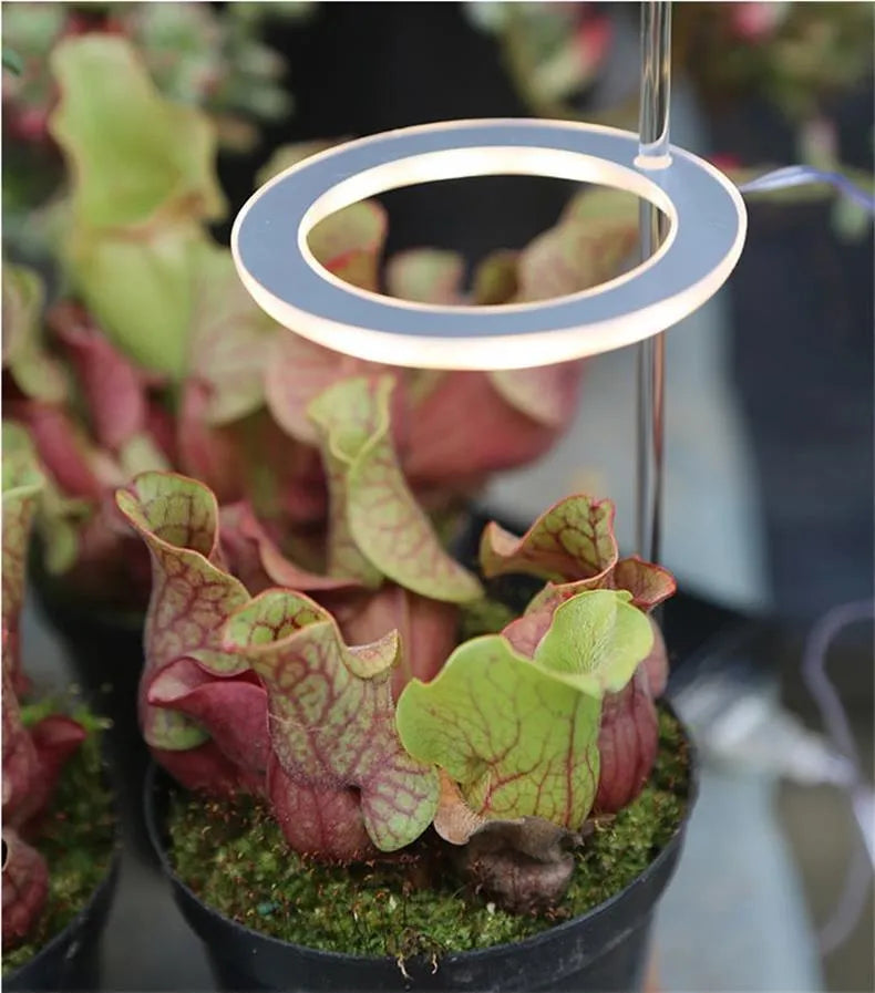 USB LED grow light with acrylic stick for indoor plant growth lighting