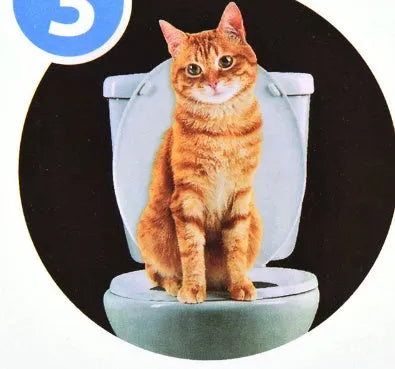 Blue cat toilet trainer with two blue training trays on a white toilet seat, 42x42x3.5cm ABS material